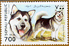Somali Republic malamute stamp