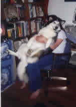 Can't we find a more comfortable chair than this?