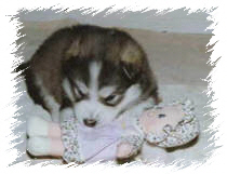 as a baby Bog